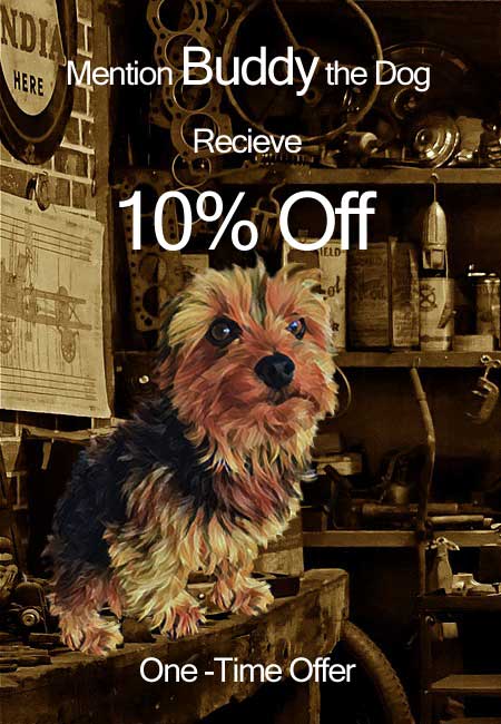 Buddy the shop dog can save you money